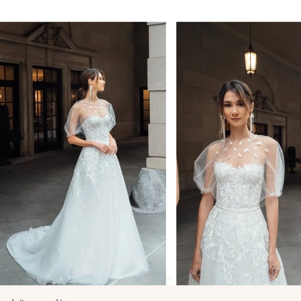 Mira Zwillinger "Charla" Wedding Gown - Picture 3 of 14